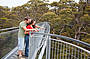 Views from the Tree Top Walk