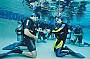 5 Day Learn to Dive Course - PADI Open Water